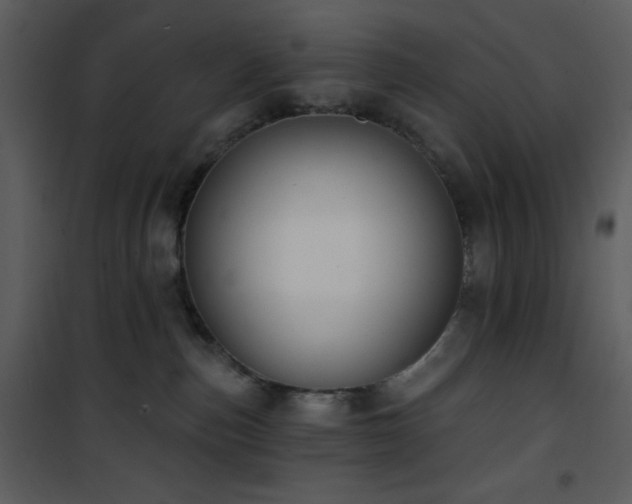 X0000102000187200807181213