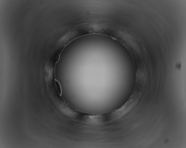 X0000102000188200807181213