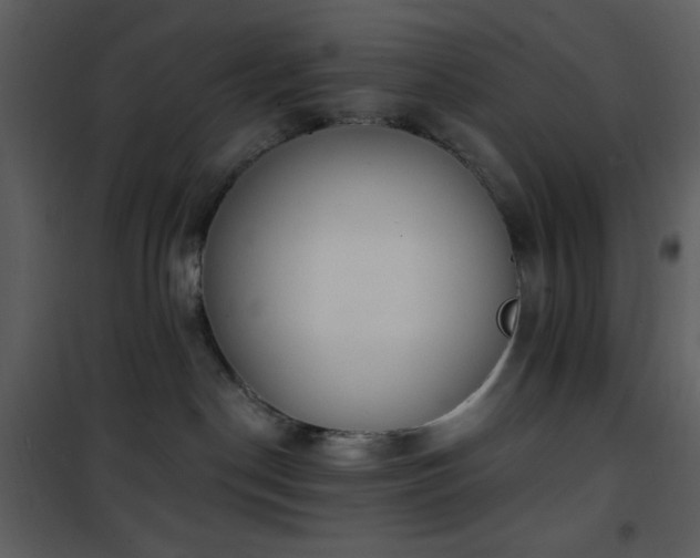 X0000102000190200807181213