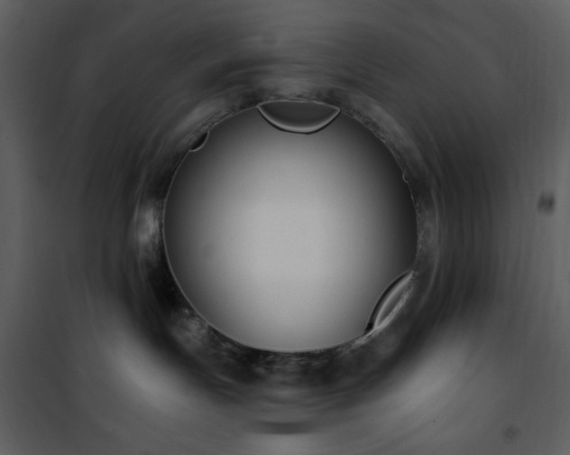 X0000102000191200807181213