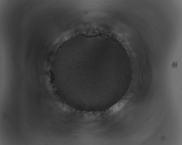 X0000102000192200807181213