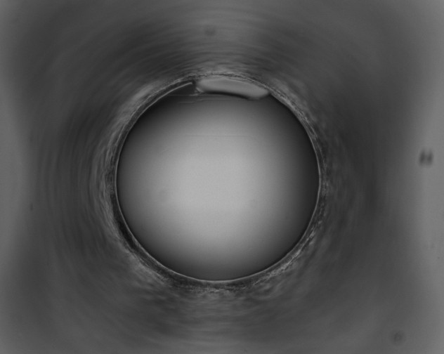 X0000102000193200807181213