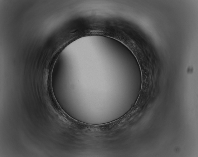 X0000102000194200807181213