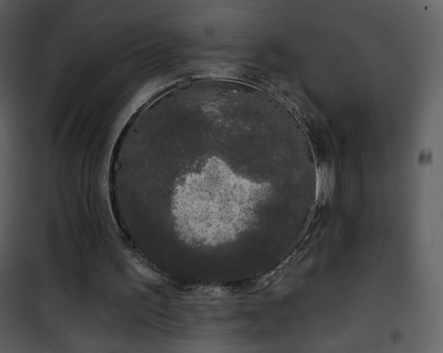 X0000102000195200807181213