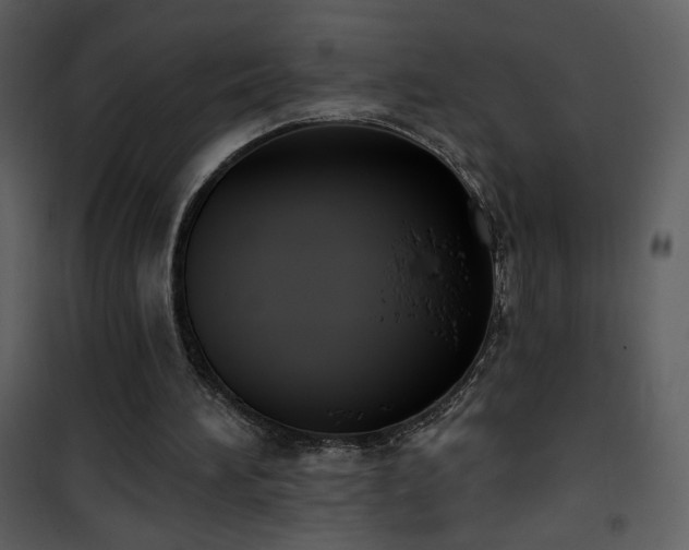 X0000102000196200807181213