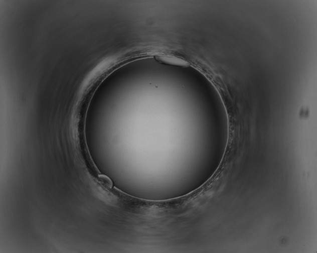 X0000102000197200807181212