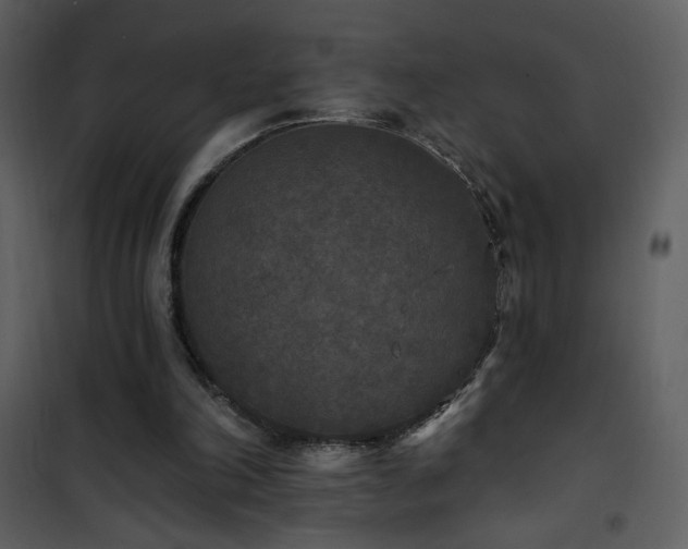 X0000102000198200807181212