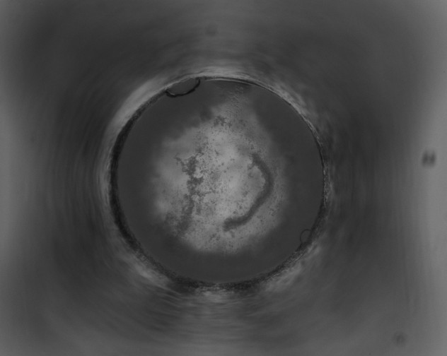 X0000102000199200807181212