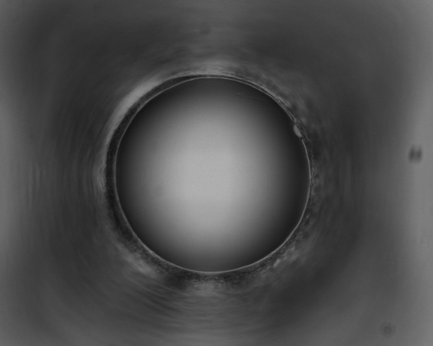 X0000102000200200807181212