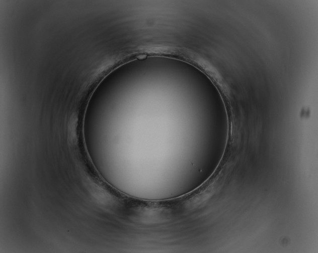 X0000102000201200807181212