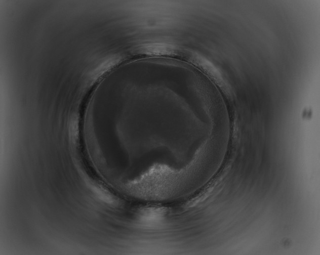 X0000102000202200807181212