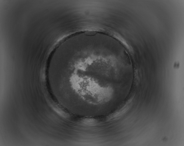 X0000102000203200807181212