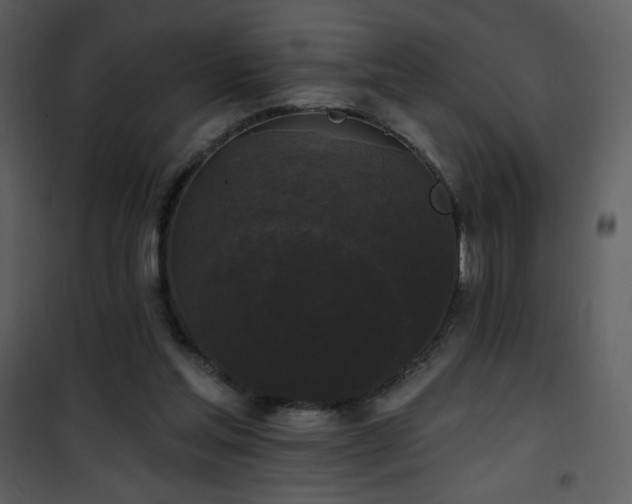 X0000102000205200807181212