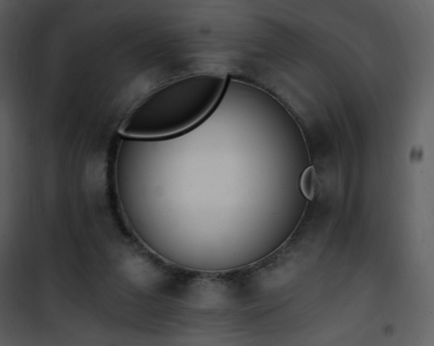 X0000102000207200807181212