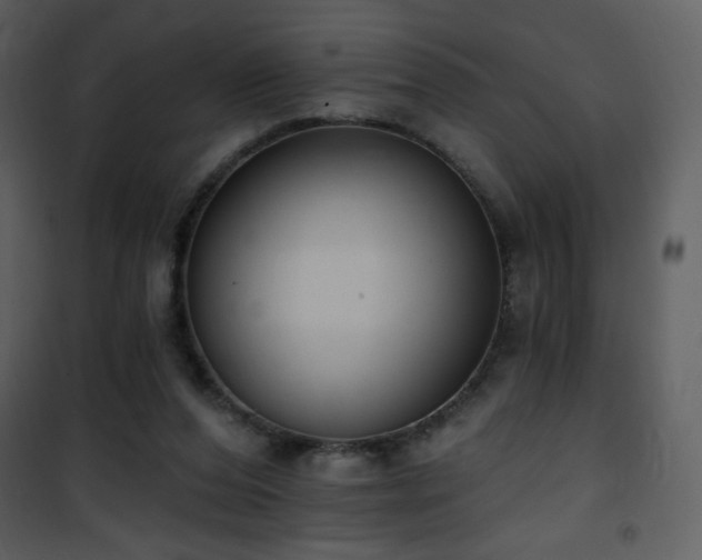 X0000102000208200807181212