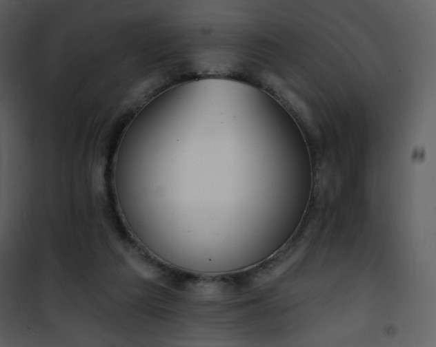 X0000102000209200807181212