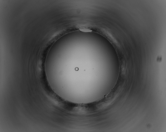 X0000102000211200807181212