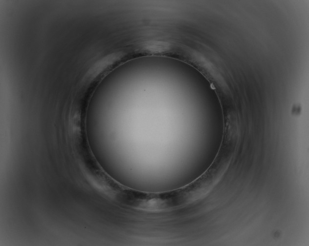 X0000102000212200807181212