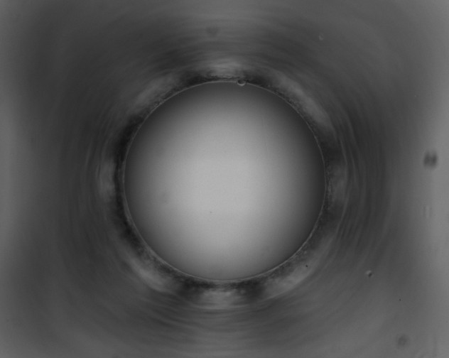 X0000102000213200807181212