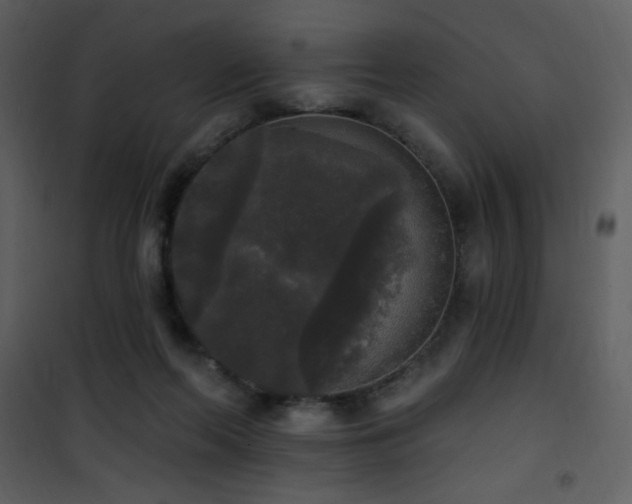 X0000102000214200807181212