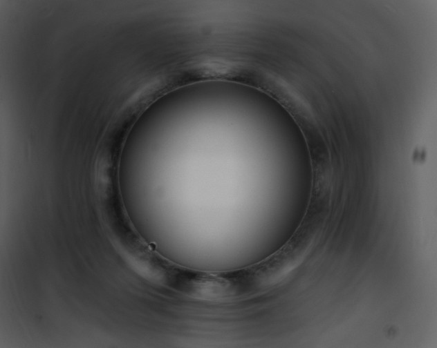 X0000102000215200807181212