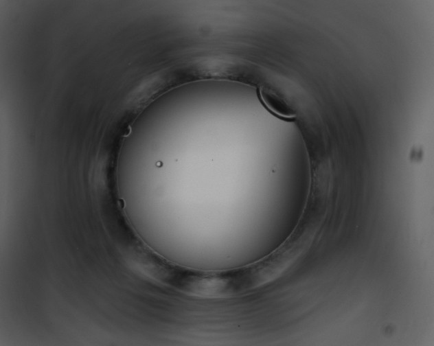 X0000102000217200807181212