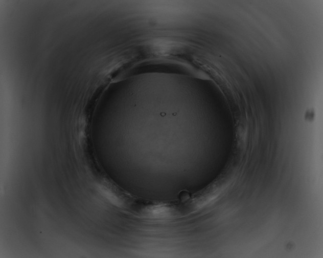 X0000102000219200807181212