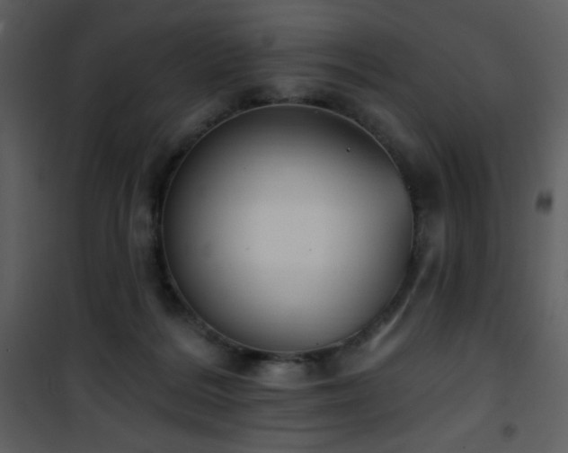 X0000102000220200807181212