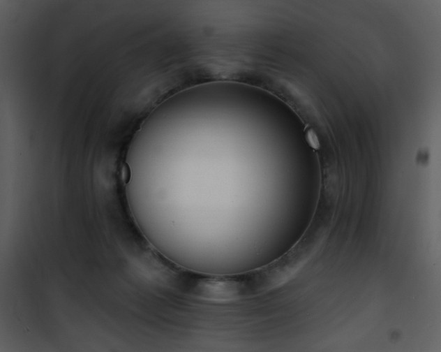 X0000102000221200807181212