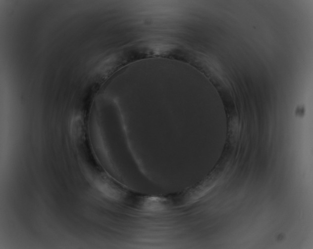 X0000102000222200807181212