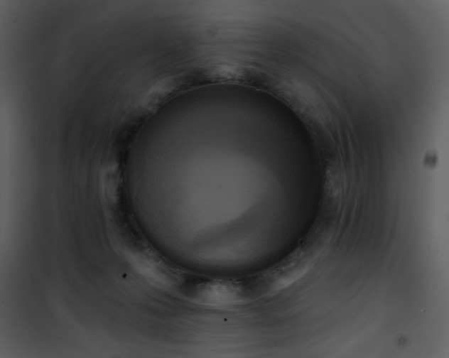 X0000102000223200807181212