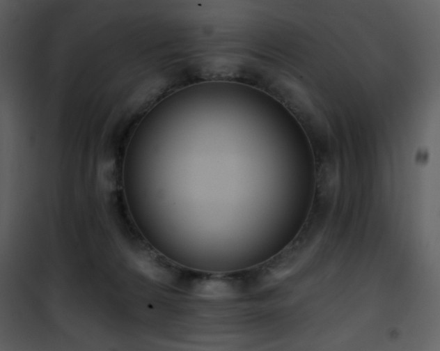 X0000102000224200807181212