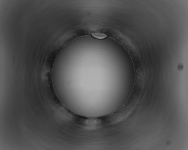 X0000102000225200807181212