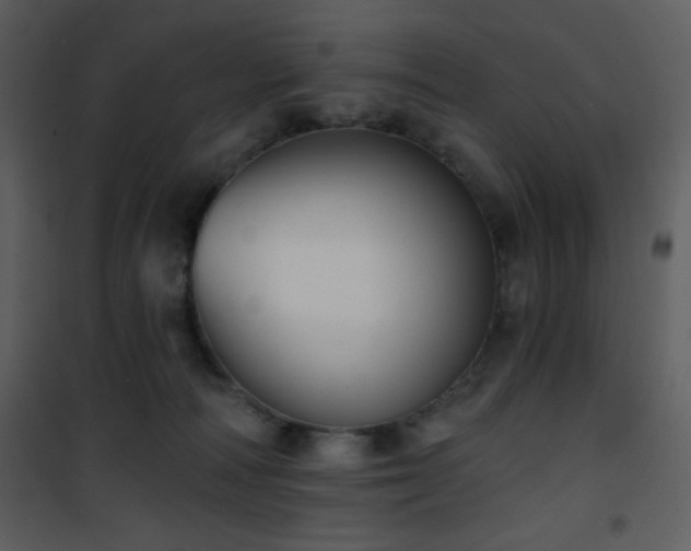 X0000102000226200807181212