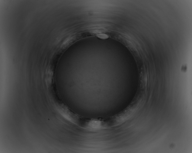 X0000102000227200807181212