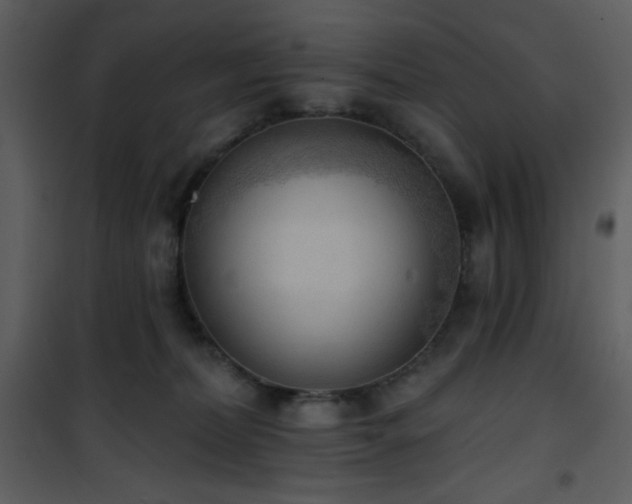 X0000102000228200807181212