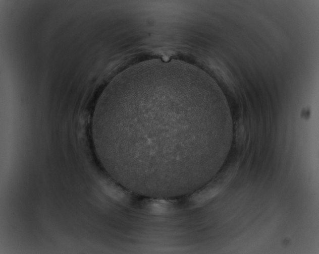 X0000102000229200807181212