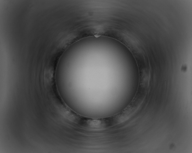 X0000102000230200807181212