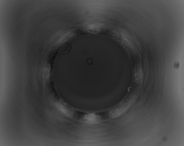 X0000102000231200807181212