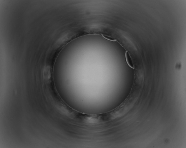 X0000102000232200807181212