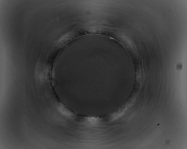 X0000102000233200807181212