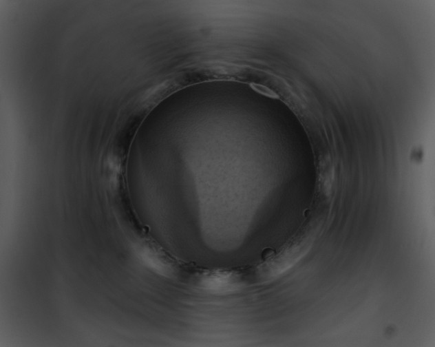 X0000102000235200807181212