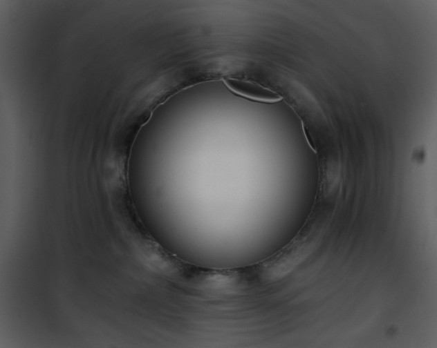 X0000102000236200807181212