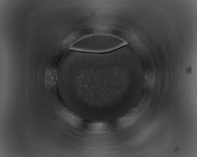 X0000102000237200807181212