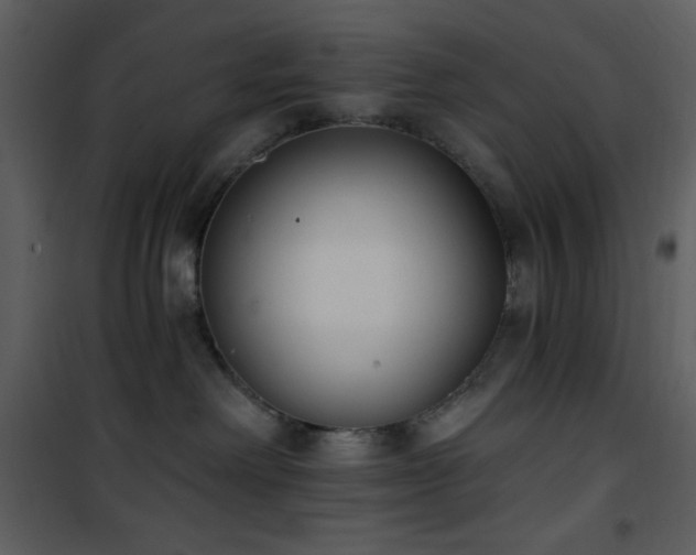 X0000102000238200807181212