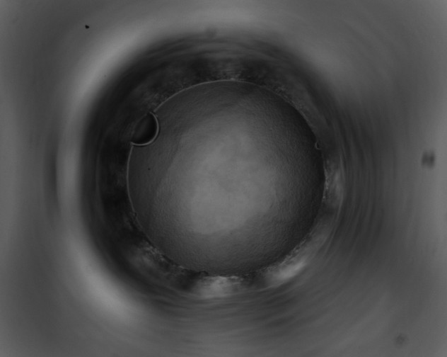 X0000102000239200807181212