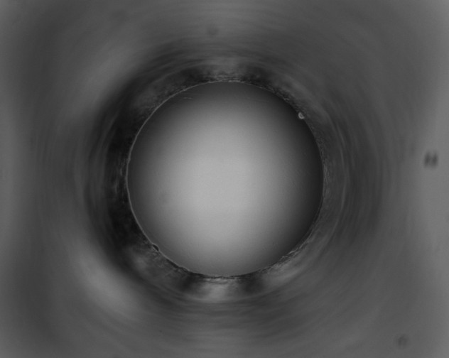 X0000102000240200807181212