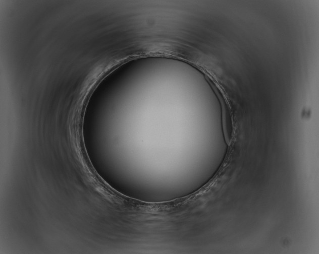 X0000102000241200807181211