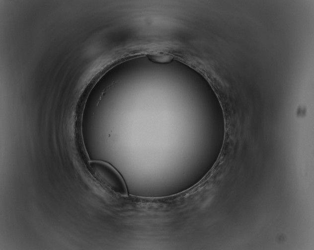 X0000102000242200807181211