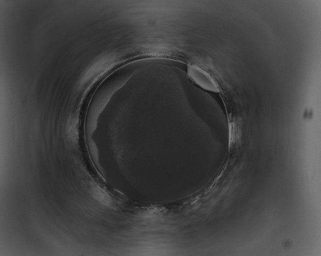 X0000102000243200807181211